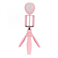 Mobile Phone Foldable Live Streaming Beauty Fill Light Lamp with Tripod and Phone Holder Tripod Fill Light